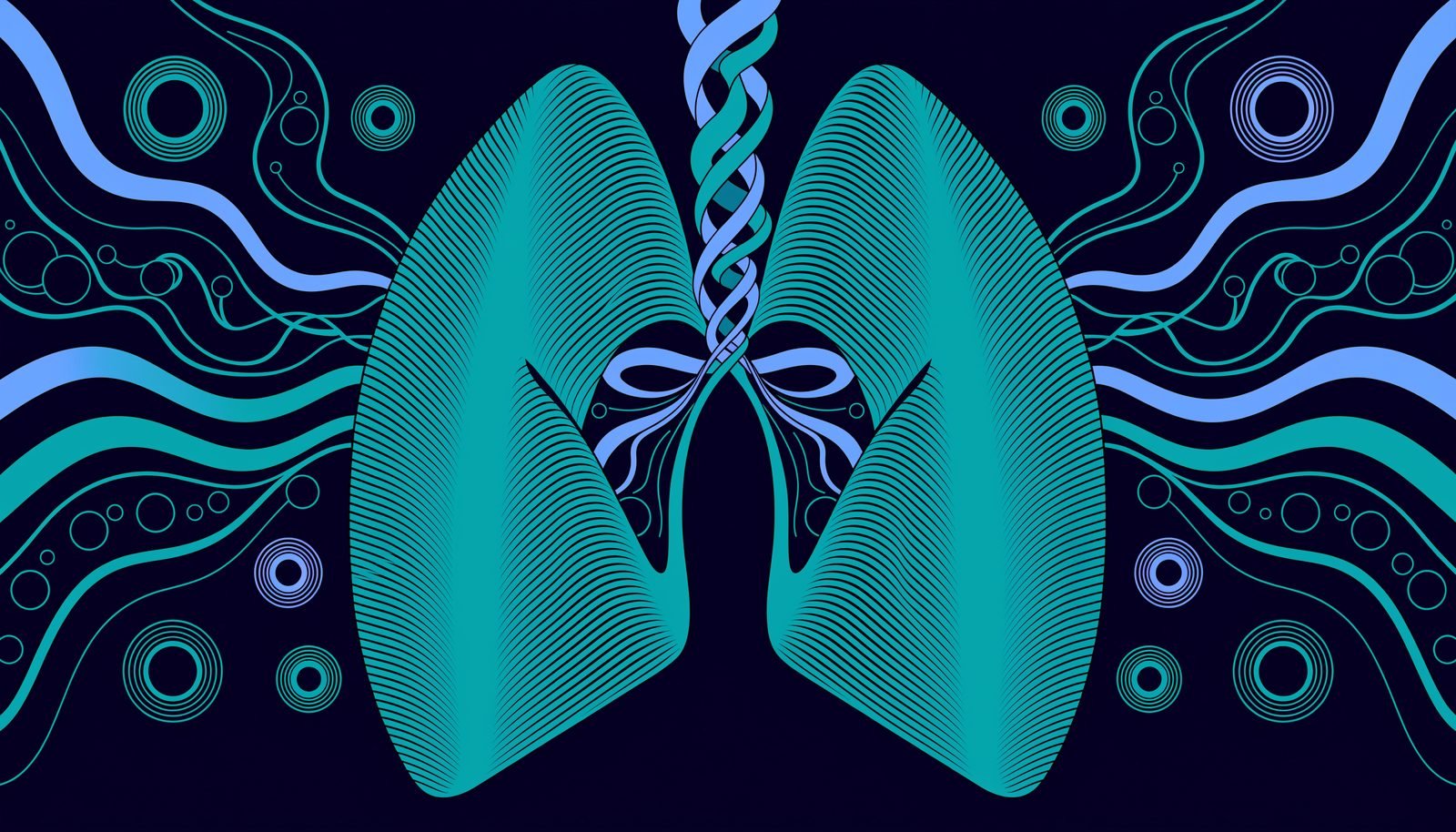 The respiratory system